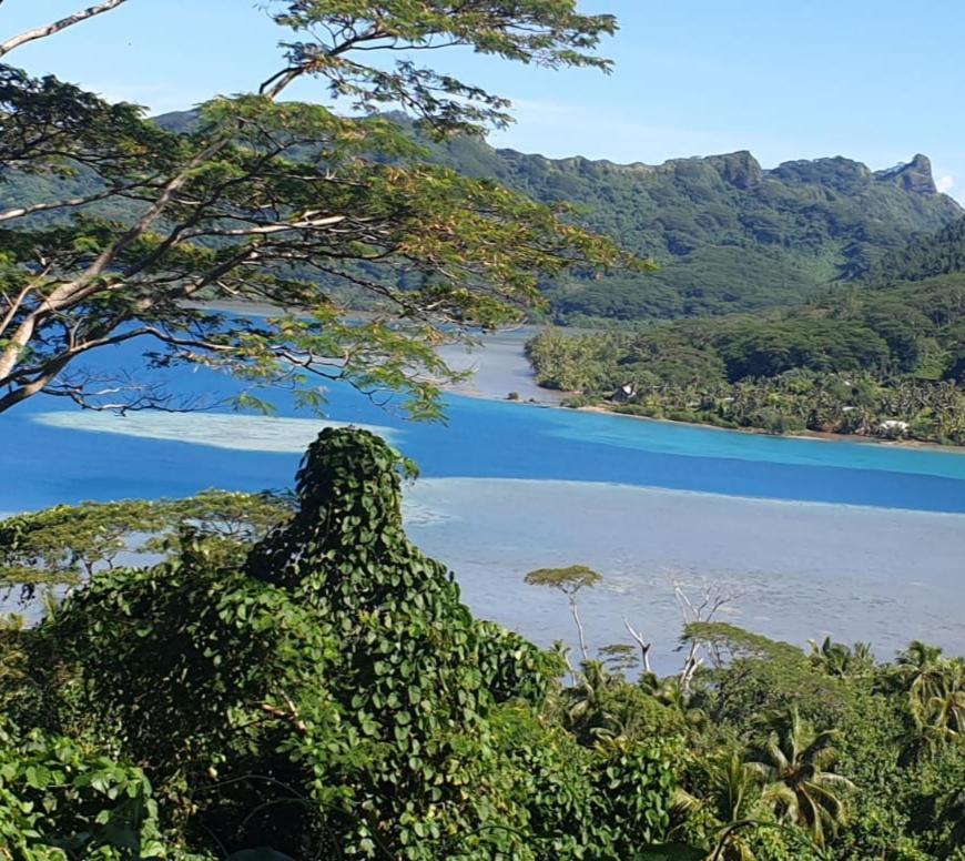 Huahine Manta Lodge Avec 4X4 Optionnel Haapu 外观 照片