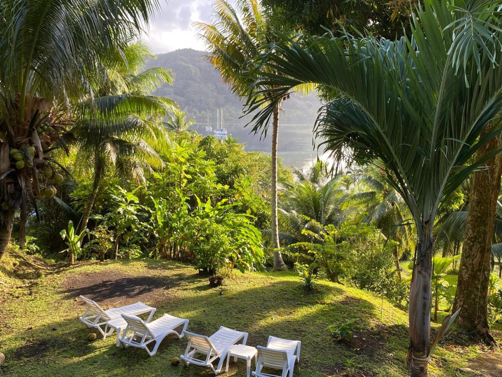 Huahine Manta Lodge Avec 4X4 Optionnel Haapu 外观 照片
