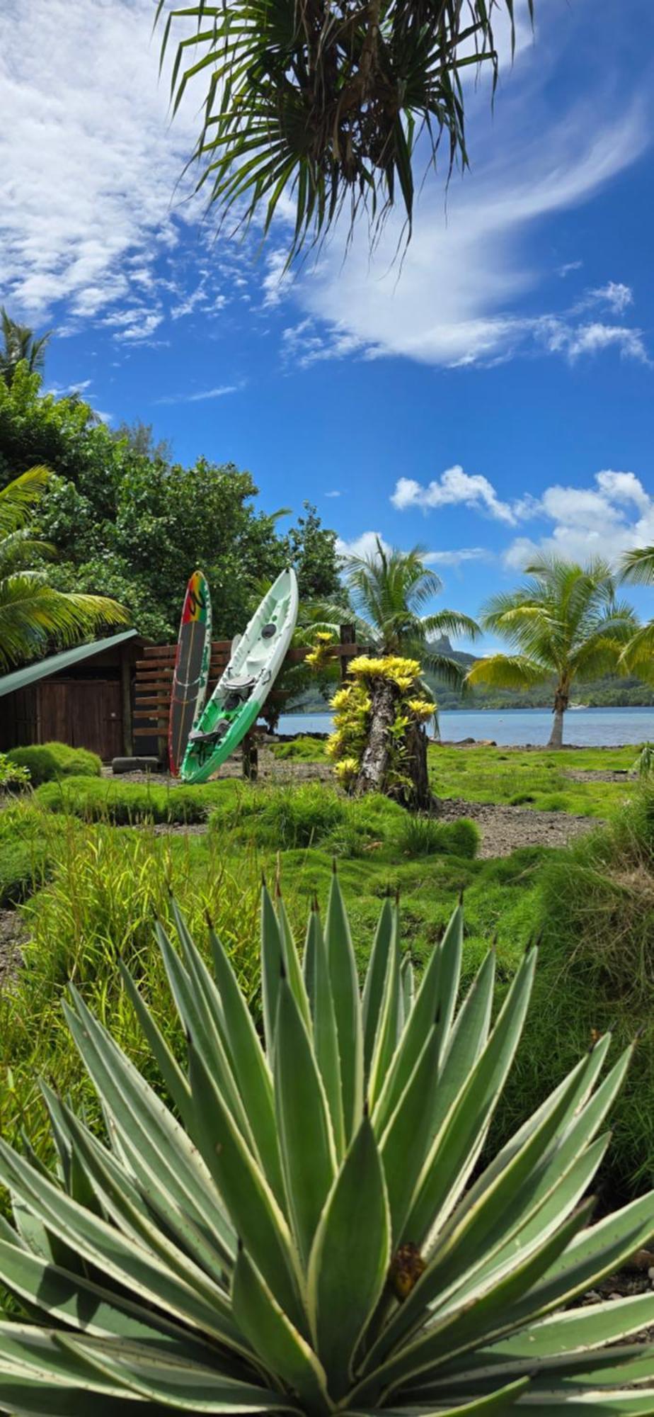 Huahine Manta Lodge Avec 4X4 Optionnel Haapu 外观 照片